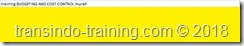 training control penganggaran biaya murah