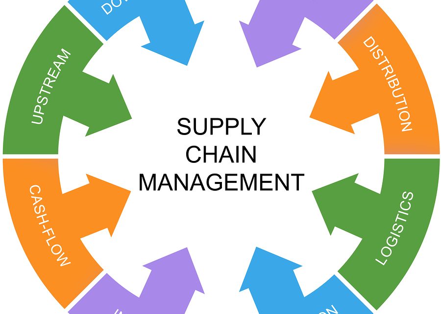 TRAINING ONLINE INFORMATION SYSTEMS AND INFORMATION TECHNOLOGIES FOR SUPPLY CHAIN MANAGEMENT