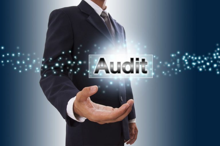 TRAINING ONLINE AUDIT EXCELLENCE