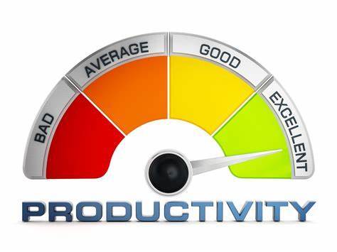 TRAINING ONLINE BUSINESS PERFORMANCE AND PRODUCTIVITY