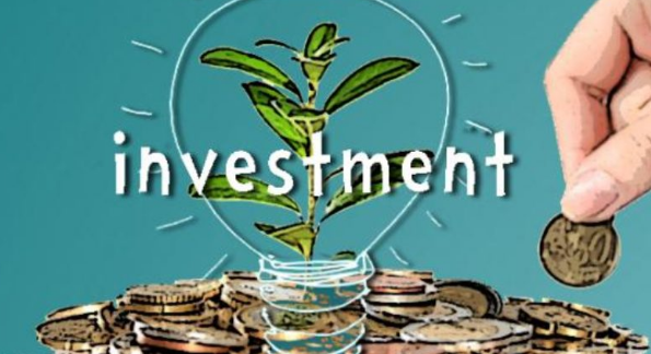 analisis investasi public