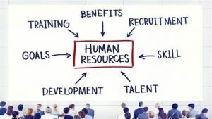 TRAINING ONLINE COMPETENCY BASED HUMAN RESOURCE MANAGEMENT (CBHRM)