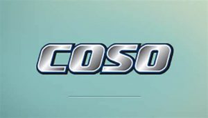 TRAINING COSO AUDIT A NEW PARADIGM OF INTERNAL CONTROL