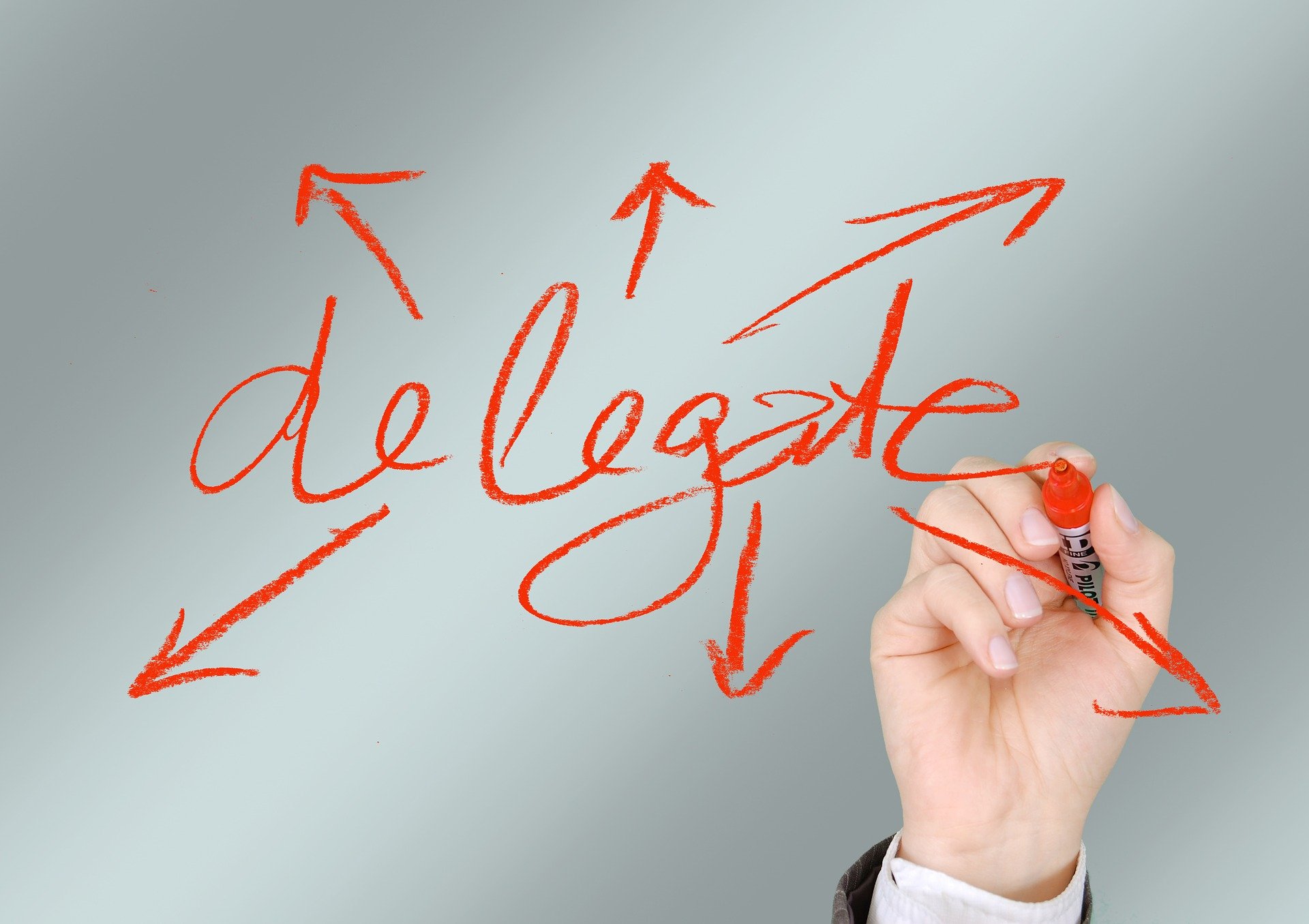 TRAINING EFFECTIVE DELEGATION, MONITORING & FEEDBACK