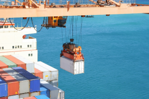 TRAINING EXPORT IMPORT MANAGEMENT L C SHIPPING & CUSTOM