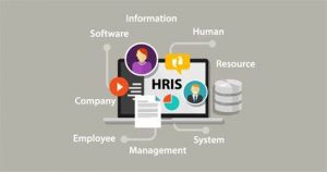 TRAINING HRIS (HUMAN RESOURCES INFORMATION SYSTEM)