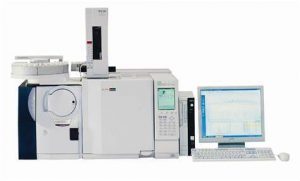 TRAINING INSTRUMENT GAS DETECTOR AND CHROMATOGRAPHY