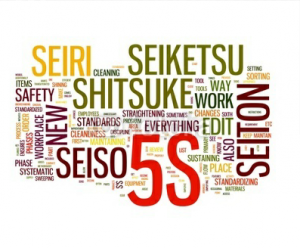 TRAINING ONLINE 5S