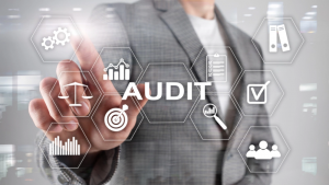 TRAINING ONLINE AUDITING SDM