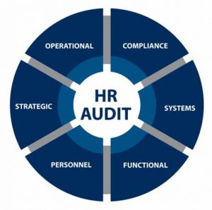 TRAINING ONLINE AUDITING THE HR FUNCTION