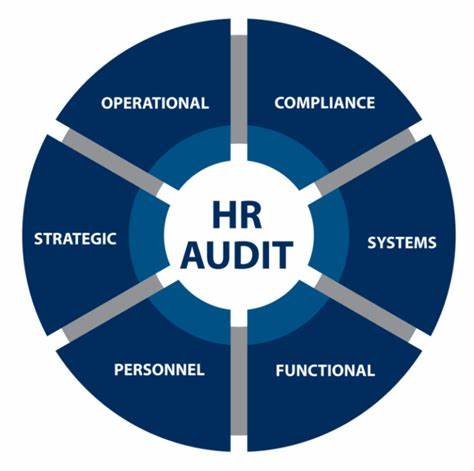 TRAINING ONLINE AUDITING THE HR FUNCTION