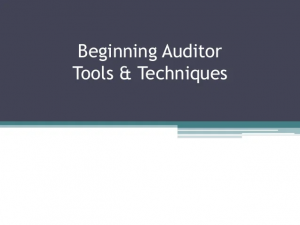 TRAINING ONLINE BEGINNING AUDITOR TOOLS AND TECHNIQUES