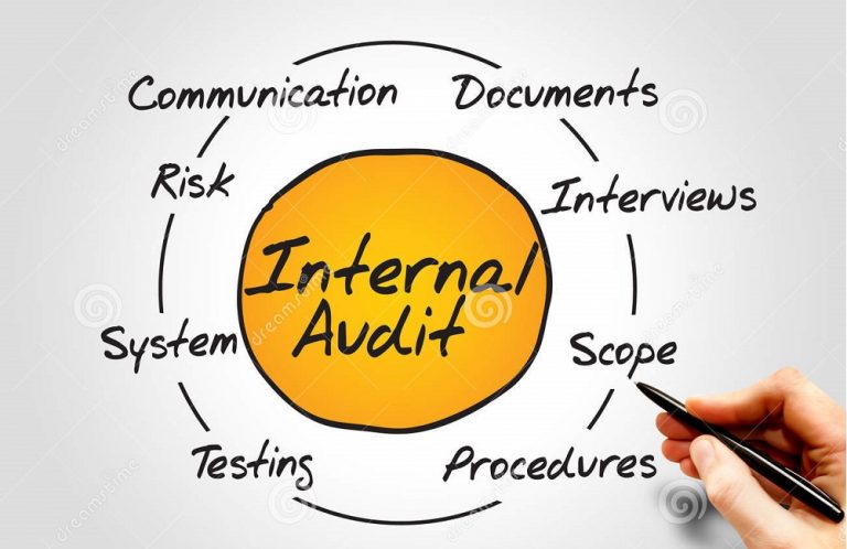 TRAINING ONLINE BEST PRACTICES IN INTERNAL AUDITING