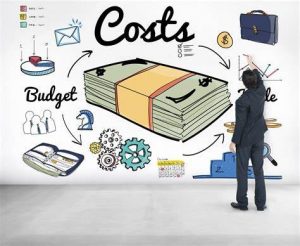 TRAINING ONLINE BUDGETING AND COST CONTROL