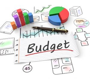 TRAINING ONLINE BUDGETING & BUSINESS PLAN