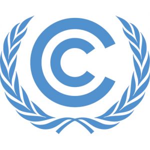 TRAINING ONLINE CLEAN DEVELOPMENT MECHANISM (CDM)