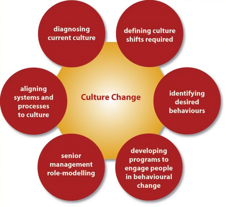 TRAINING ONLINE CULTURE CHANGE