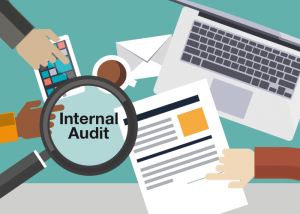 TRAINING ONLINE DASAR-DASAR AUDIT INTERNAL BAGI AUDITOR