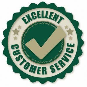 TRAINING ONLINE EXCELLENCE IN CUSTOMER SERVICE