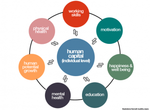 TRAINING ONLINE HUMAN CAPITAL DEVELOPMENT