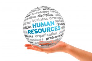 TRAINING ONLINE HUMAN RESOURCES FOR BEGINNERS