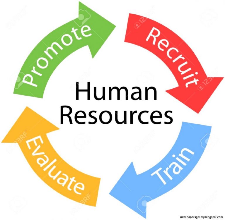 TRAINING ONLINE HUMAN RESOURCES FOR BEGINNERS