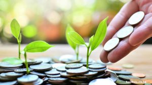 TRAINING ONLINE KEBIJAKAN PENANAMAN MODAL TERBARU