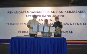 TRAINING ONLINE KREDIT BPR LINKAGE PROGRAM APEX