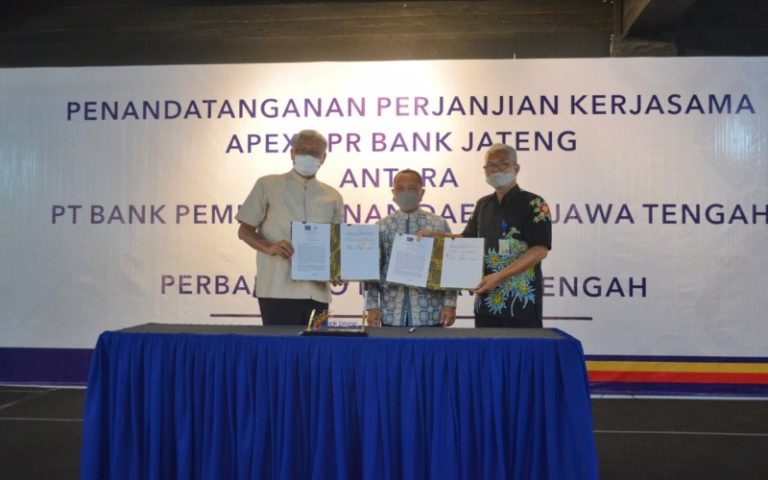 TRAINING ONLINE KREDIT BPR LINKAGE PROGRAM APEX