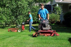 TRAINING ONLINE LANDSCAPE MAINTENANCE