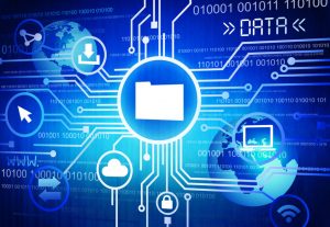 TRAINING ONLINE MANAGEMENT DATABASE & FILE MANAGEMENT