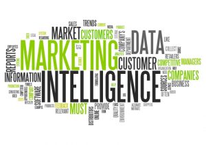 TRAINING ONLINE MARKETING INTELLIGENCE
