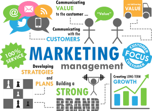 TRAINING ONLINE MARKETING MANAGEMENT