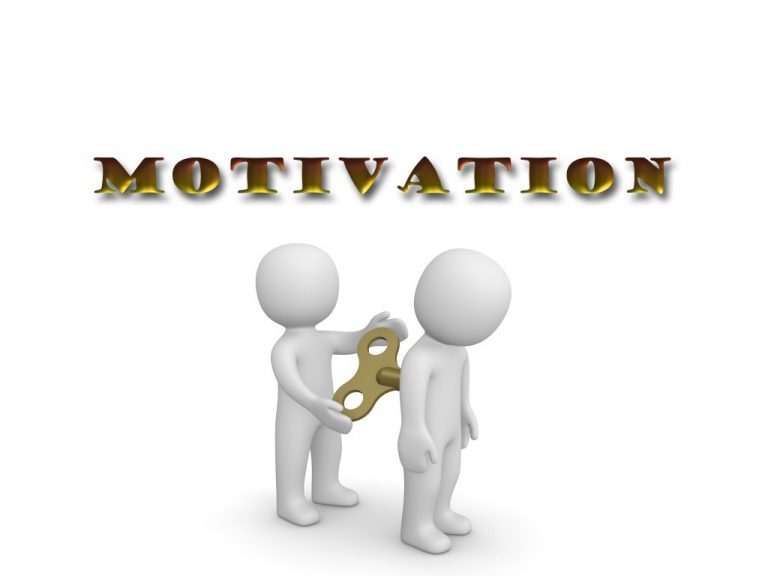 TRAINING ONLINE MOTIVATIONAL MANAGEMENT