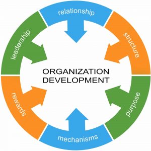 TRAINING ONLINE ORGANIZATION DEVELOPMENT PROGRAM