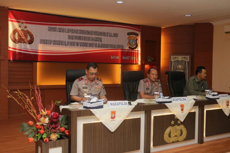 TRAINING ONLINE PELAKSANAAN REVIU ATAS LAPORAN KEUANGAN