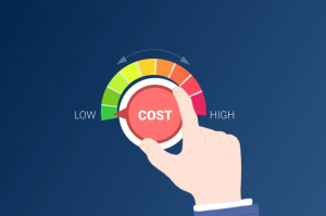 TRAINING ONLINE PROJECT COST ESTIMATION & COST CONTROL