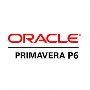TRAINING ONLINE PROJECT MANAGEMENT WITH PRIMAVERA P6