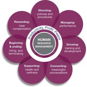TRAINING ONLINE RISKS ON HUMAN RESOURCES MANAGEMENT