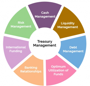 TRAINING ONLINE TREASURY MANAGEMENT