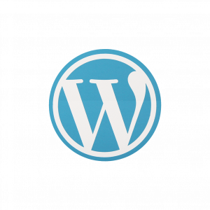 TRAINING PEMAHAMAN DASAR BLOGGING DENGAN WORDPRESS
