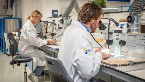 TRAINING TATA CARA VALIDASI METODE UJI PADA LABORATORIUM