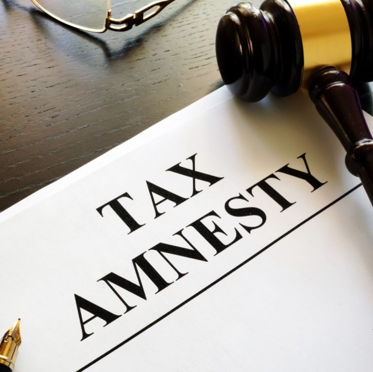 TRAINING TAX AMNESTY TEKNIK APLIKASI DAN PELUANG EMAS